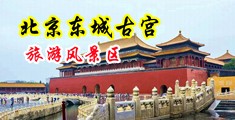 xxxx阴道玩弄中国北京-东城古宫旅游风景区
